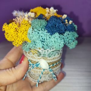 Средни семпли бурканчета със скандинавски мъх