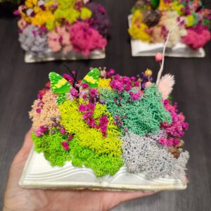 Кашпа "Разгърната Книга" със скандинавски мъх