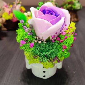 Мини аранжировка „Благодаря, Докторе“