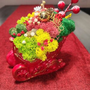 Коледна кашпа Шейна със скандинавски мъх Handmade
