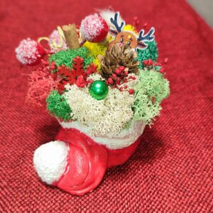 Мини кашпа „Коледна шапка“ със скандинавски мъх Handmade