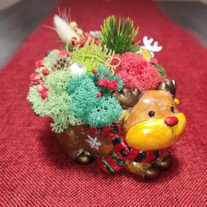 Гипсокерамична кашпа Еленче със скандинавски мъх Handmade