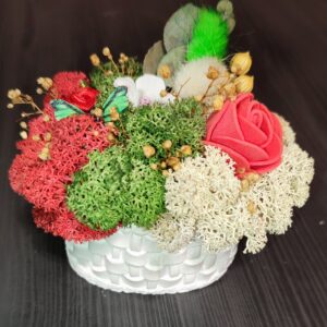 Декоративна мини трицветна кашпа със скандинавски мъх и сухи цветя