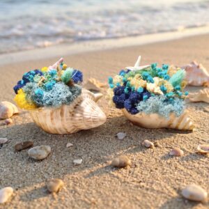 Златист рапан с морски акцент